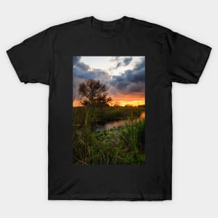 Florida Wetland at Sunset T-Shirt